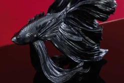 Design Deko Figur Kampffisch CROWNTAIL 35cm schwarz Betta Fisch Skulptur