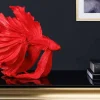Design Deko Figur Kampffisch CROWNTAIL 35cm rot Betta Fisch Skulptur