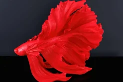 Design Deko Figur Kampffisch CROWNTAIL 65cm rot Betta Fisch Skulptur