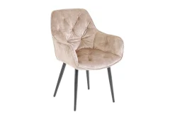 Design Stuhl MILANO champagner beige Samt mit Armlehne gepolstert schwarze Metallbeine
