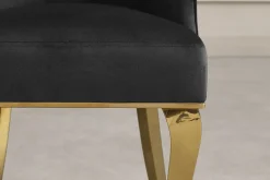 Design Stuhl MODERN BAROCK DELUXE schwarz Samt gold Edelstahl mit Löwenkopf