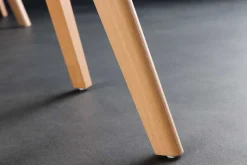 Design Stuhl SCANDINAVIA MEISTERSTÜCK transparent schwarz Kunststoff Buchenholz natur