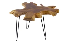 Einzigartiger Beistelltisch WILD 60cm Teakholz Baumscheibe Couchtisch