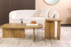 2er Set Couchtische GATSBY 100cm braun Mangoholz organische Form Beistelltisch
