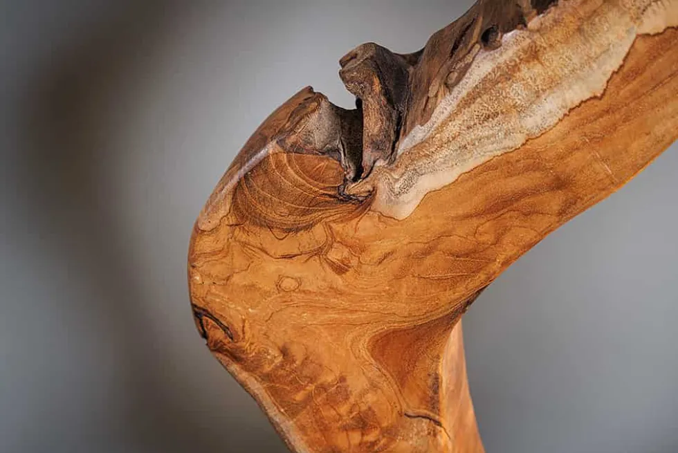 Handgefertigte Tischlampe ORGANIC ARTWORK 55cm natur Teakholz