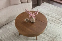 Massiver Couchtisch KYOTO 70cm braun Mangoholz im Walnuss-Design mit Stauraum