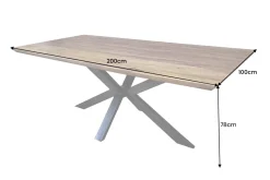 Massivholz Esstisch GALAXIE 200cm braun Sheesham stone finish Industrial Design
