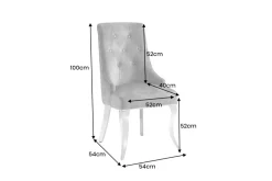Stuhl MODERN BAROCK DELUXE grau Samt silber Edelstahlbeine mit Löwenkopf