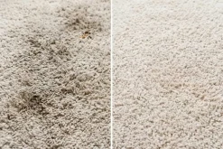 Teppichreiniger OA CARPET CARE 500ml PFC und VOC frei Tiefenreiniger für Textilboden