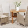 Outdoor Gartenstuhl SYLT natur beige Polyrattan Hochlehner mit Armlehne verstellbar wetterfest